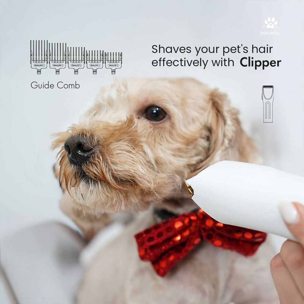 Pet Grooming Kit with Vacuum