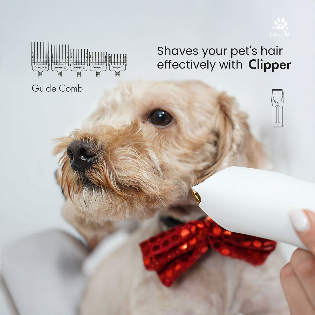 Pet Grooming Kit with Vacuum