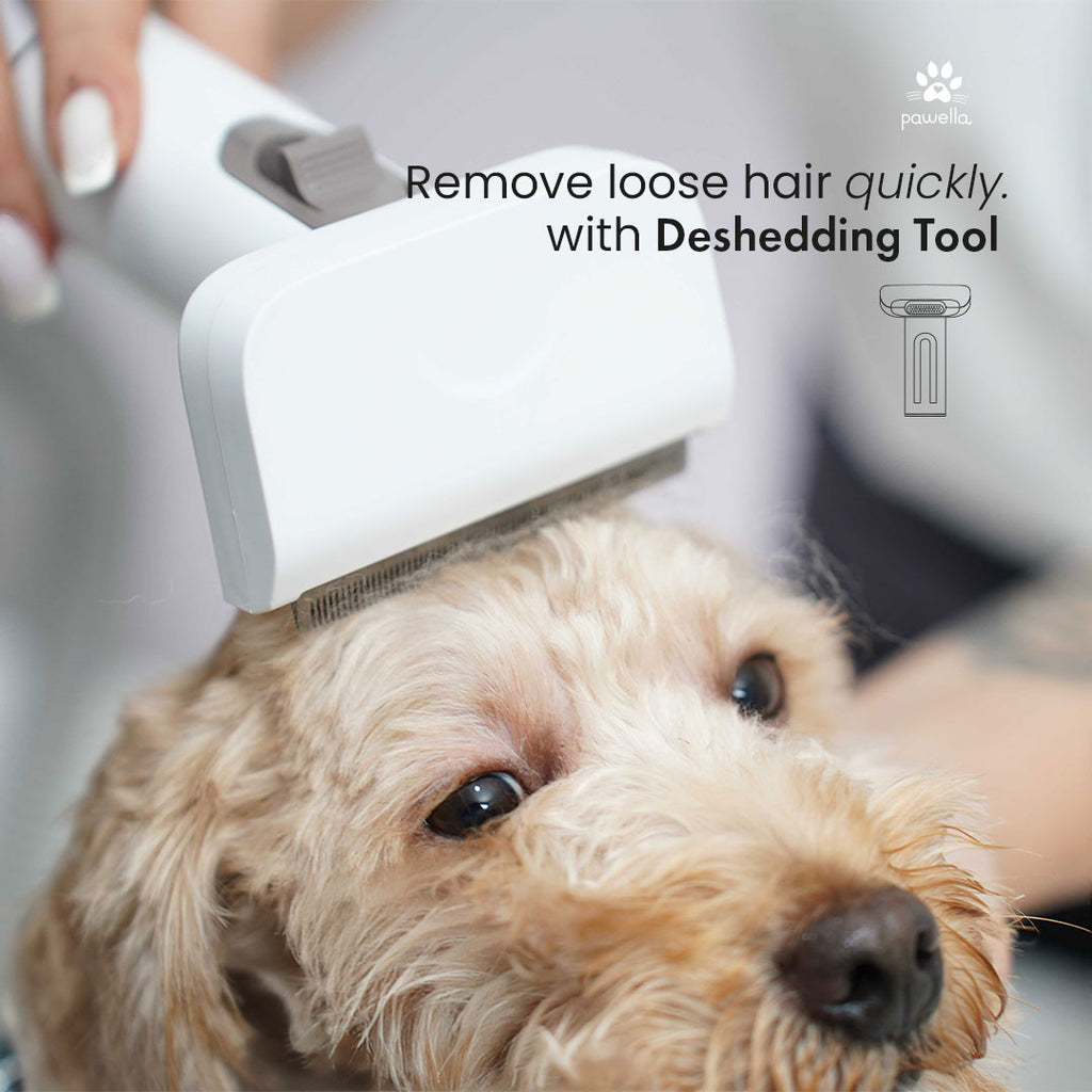 Pet Grooming Kit with Vacuum