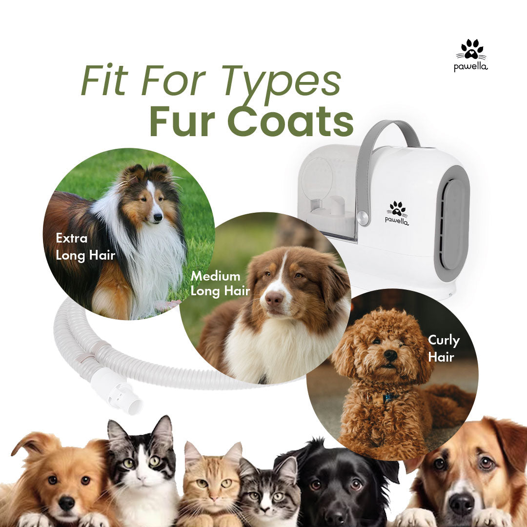 Pet Grooming Kit with Vacuum