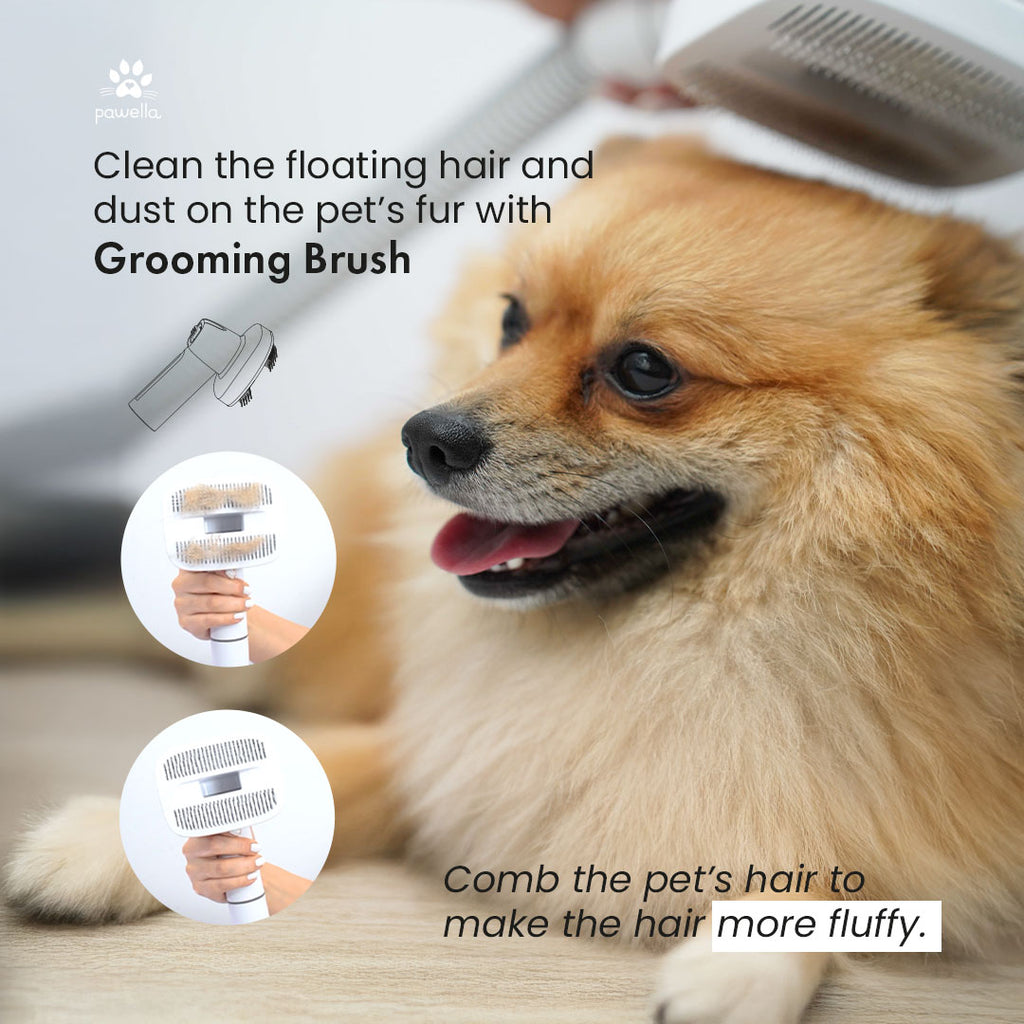 Pet Grooming Kit with Vacuum
