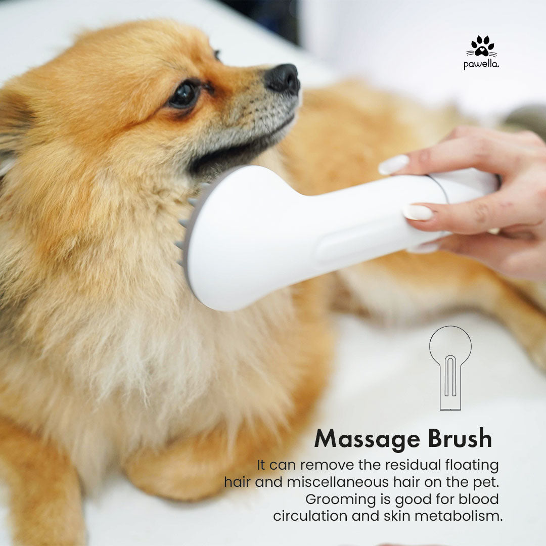 Pet Grooming Kit with Vacuum